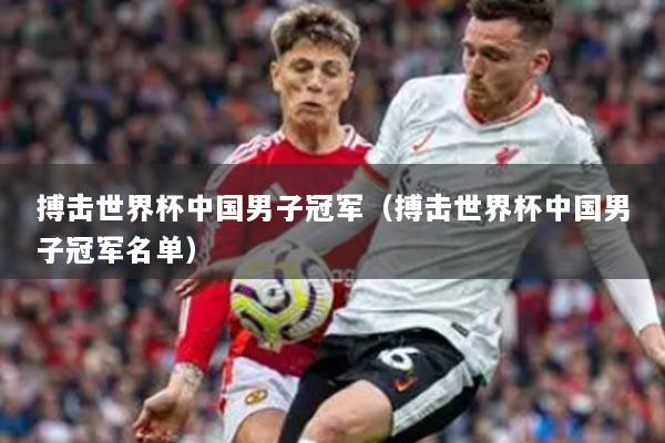 搏击世界杯中国男子冠军（搏击世界杯中国男子冠军名单）