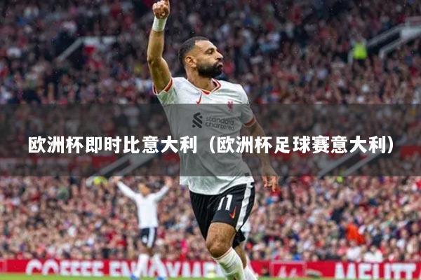 欧洲杯即时比意大利（欧洲杯足球赛意大利）