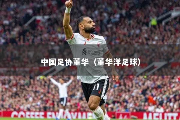 中国足协董华(董华洋足球)