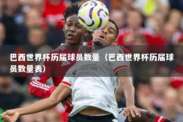 巴西世界杯历届球员数量(巴西世界杯历届球员数量表)