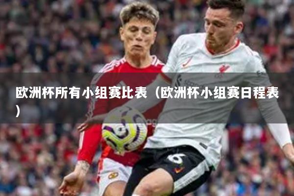 欧洲杯所有小组赛比表(欧洲杯小组赛日程表)