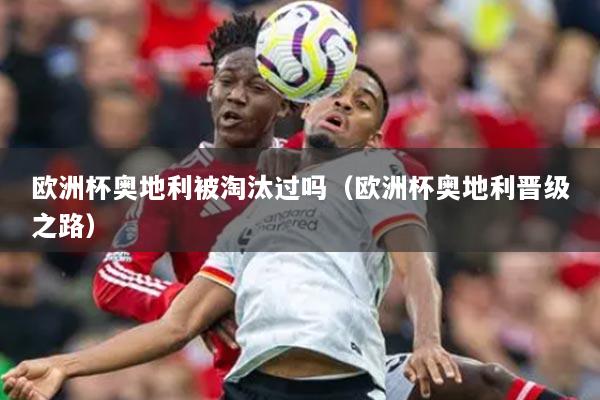 欧洲杯奥地利被淘汰过吗(欧洲杯奥地利晋级之路)