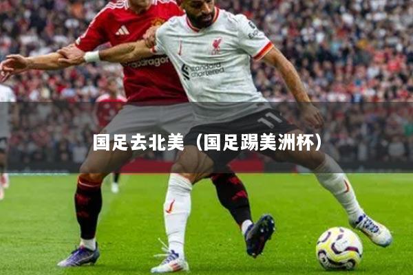 国足去北美(国足踢美洲杯)