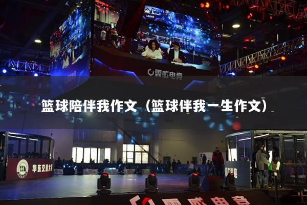篮球陪伴我作文(篮球伴我一生作文)