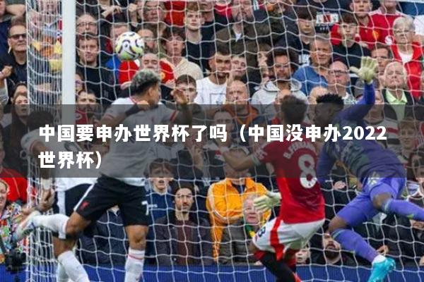 中国要申办世界杯了吗（中国没申办2022世界杯）