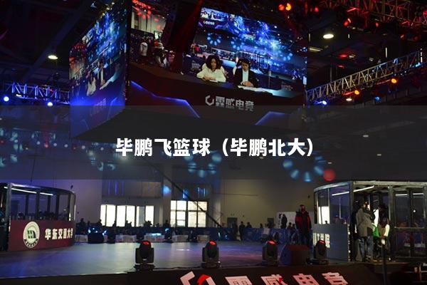 毕鹏飞篮球(毕鹏北大)