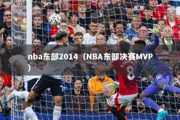 nba东部2014（NBA东部决赛MVP）