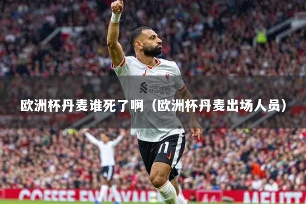 欧洲杯丹麦谁死了啊（欧洲杯丹麦出场人员）