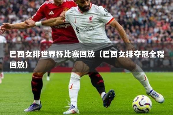 巴西女排世界杯比赛回放(巴西女排夺冠全程回放)