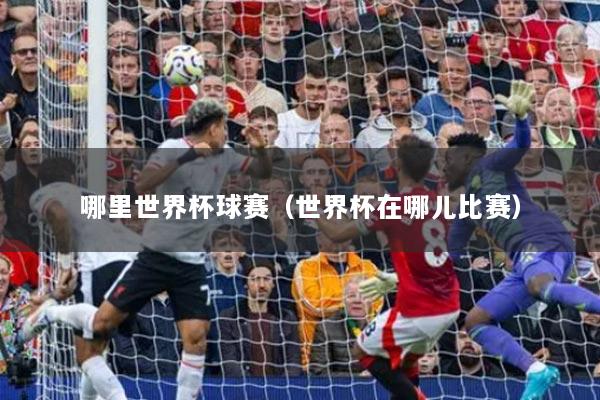 哪里世界杯球赛(世界杯在哪儿比赛)
