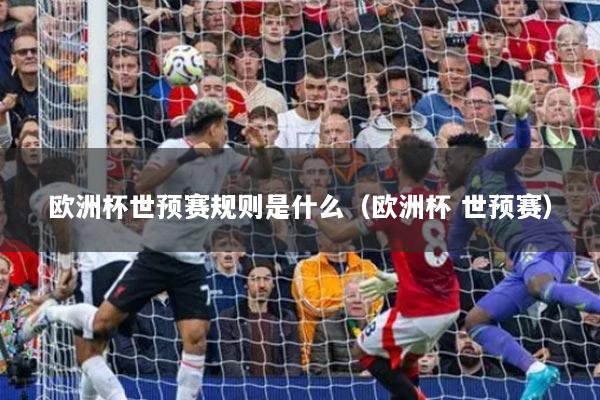 欧洲杯世预赛规则是什么(欧洲杯 世预赛)