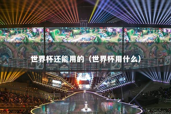 世界杯还能用的(世界杯用什么)