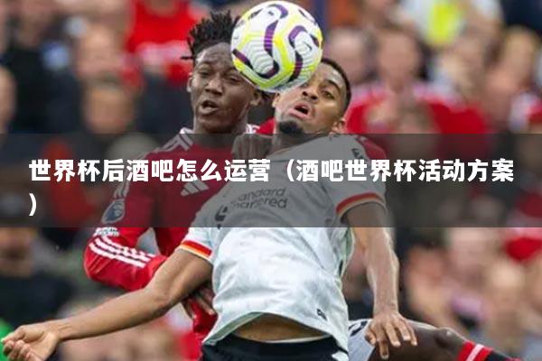 世界杯后酒吧怎么运营(酒吧世界杯活动方案)