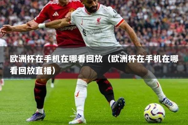 欧洲杯在手机在哪看回放（欧洲杯在手机在哪看回放直播）