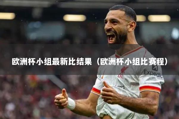 欧洲杯小组最新比结果(欧洲杯小组比赛程)