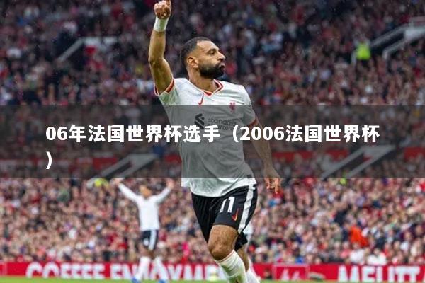 06年法国世界杯选手(2006法国世界杯)