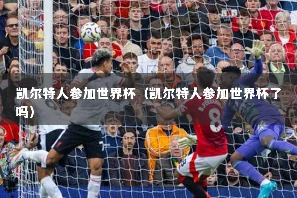 凯尔特人参加世界杯(凯尔特人参加世界杯了吗)