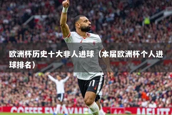 欧洲杯历史十大非人进球(本届欧洲杯个人进球排名)