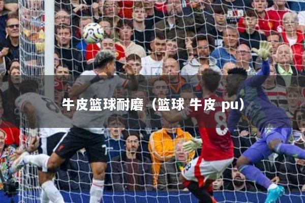 牛皮篮球耐磨(篮球 牛皮 pu)
